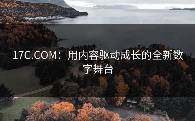 17C.COM：用内容驱动成长的全新数字舞台