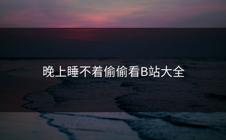 晚上睡不着偷偷看B站大全 晚上睡不着偷偷看B站大全